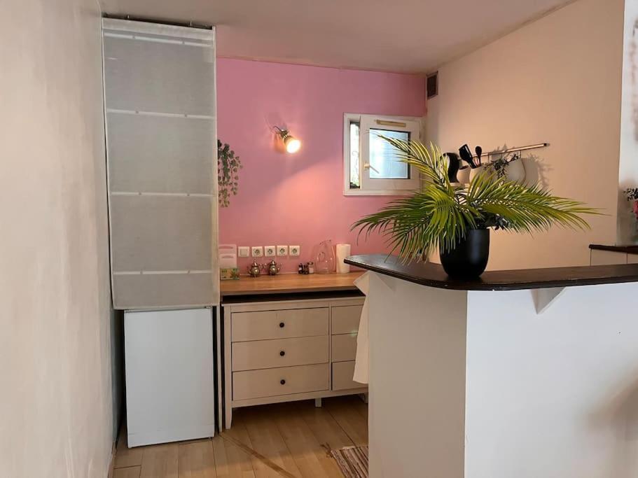 Loft Cosy Pole Dance Et Parking Prive Montpellier
