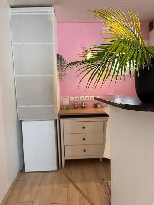Loft Cosy Pole Dance Et Parking Prive Appartement